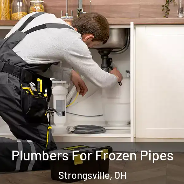  Plumbers For Frozen Pipes Strongsville, OH