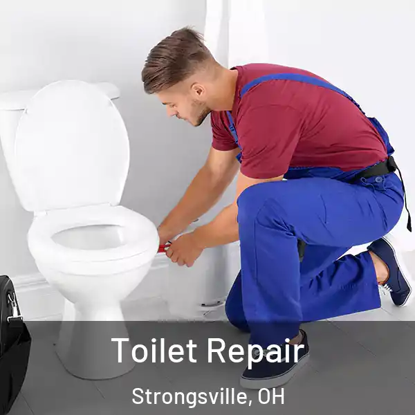  Toilet Repair Strongsville, OH