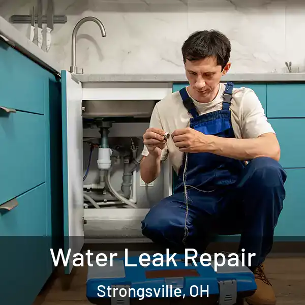  Water Leak Repair Strongsville, OH